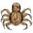 Fuzzy Tarantula Dog Costume