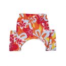 Tasmania Dog Swim Trunks