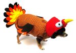 Turkey Costume for Dogs