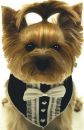 Tuxedo  Scarf for Dogs