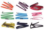 Two Tone Lead for Dogs