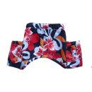 Venice Swim Trunks for dogs