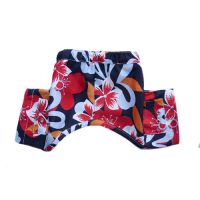 Venice Swim Trunks for dogs