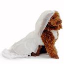 Venus  Wedding Dress for Dogs