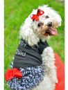 Wild Child Zebra Dress for Dogs