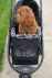 Imperial Zebra Dog Stroller