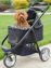 Imperial Zebra Dog Stroller